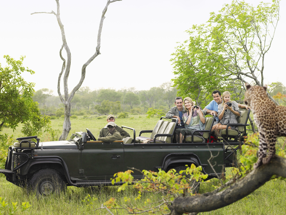 Kruger National Park safari