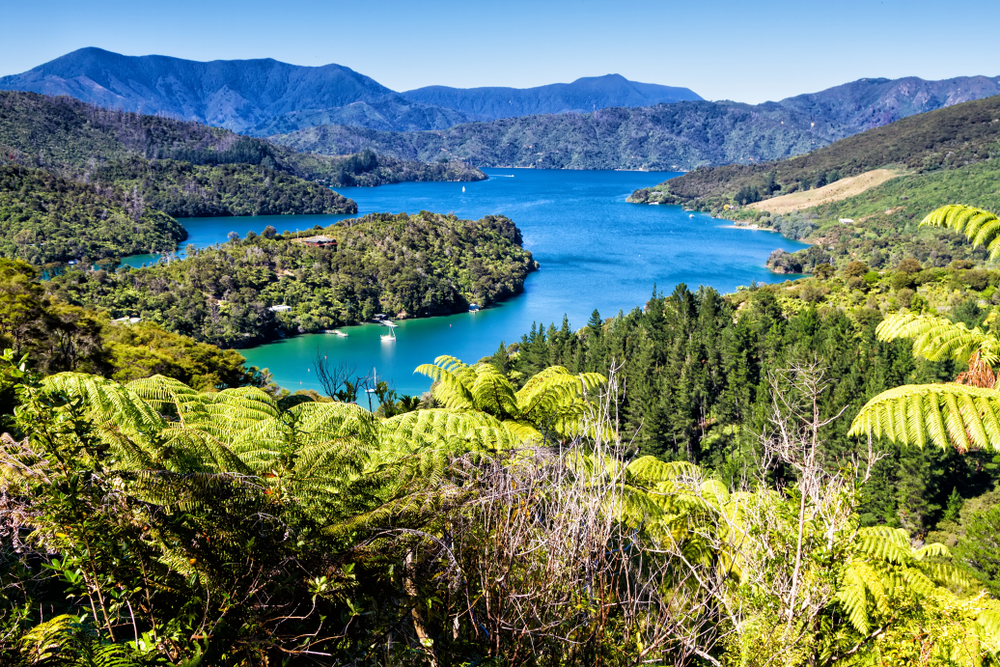 View of bays in Queen Charlotte Sound