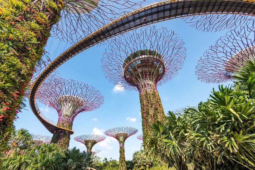 Gardens by the Bay, Supertree Grove, Singapore