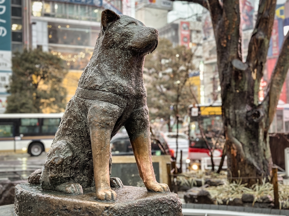 Statue of Hachiko dog, tribute to loyalty and friendship