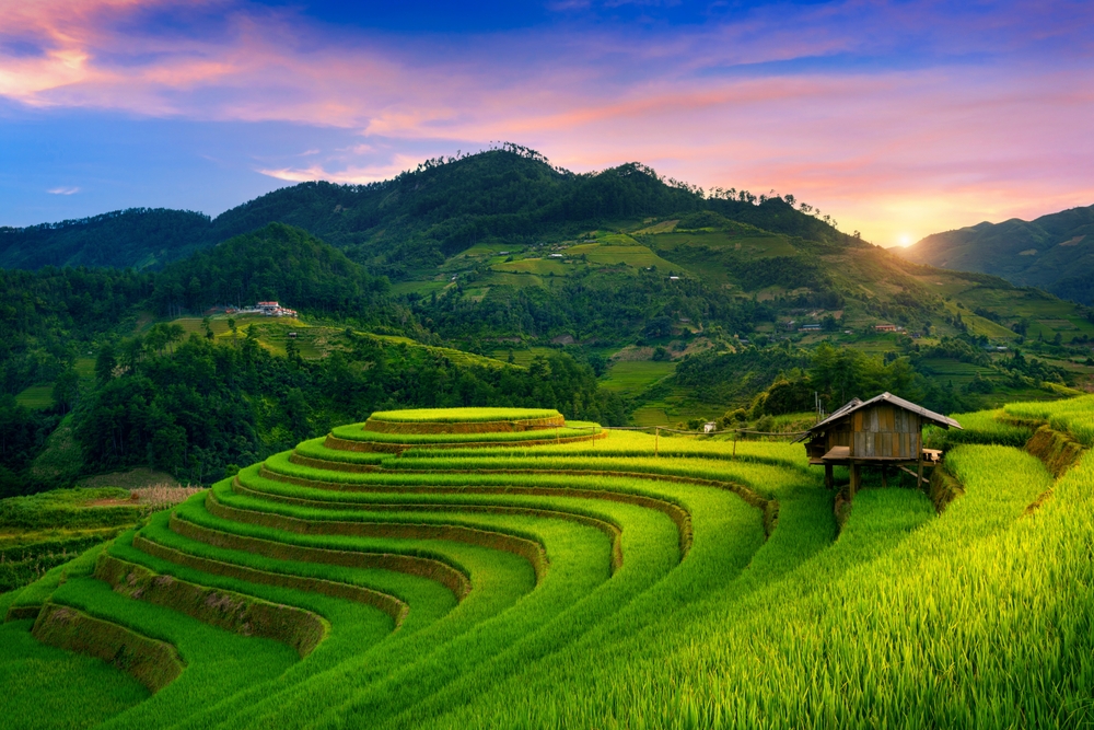 Beautiful Rice terraces at Mam xoi viewpoint in Mu cang chai, Vietnam