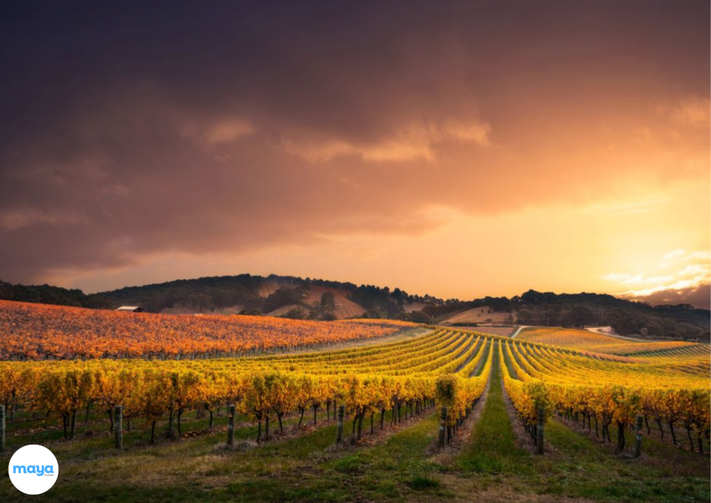 Barossa Valley