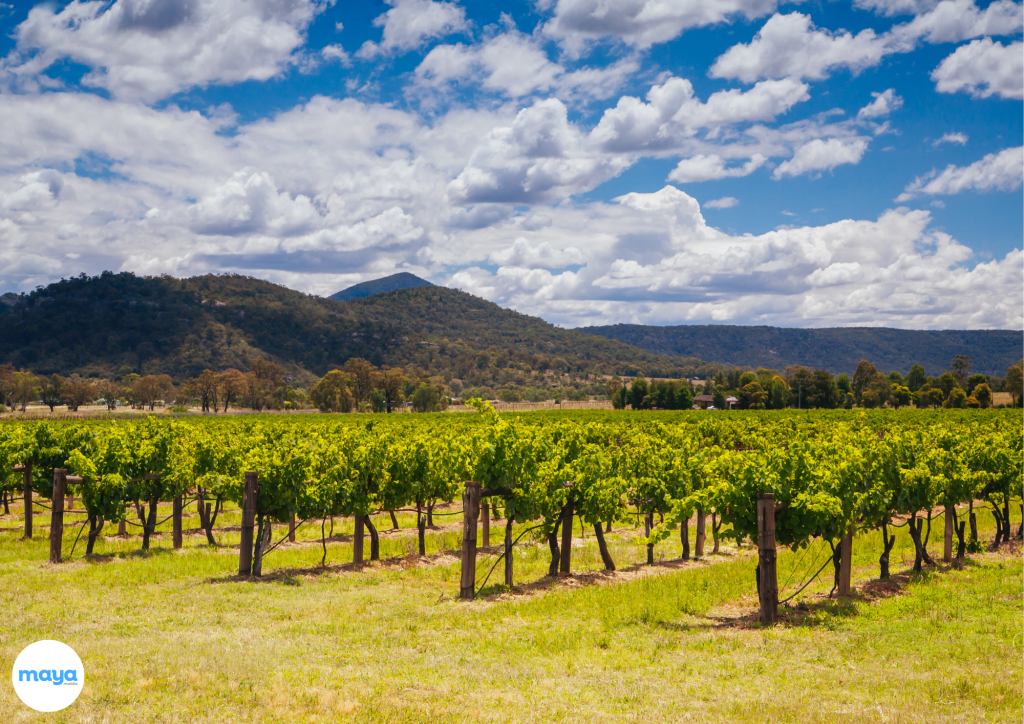 Hunter Valley