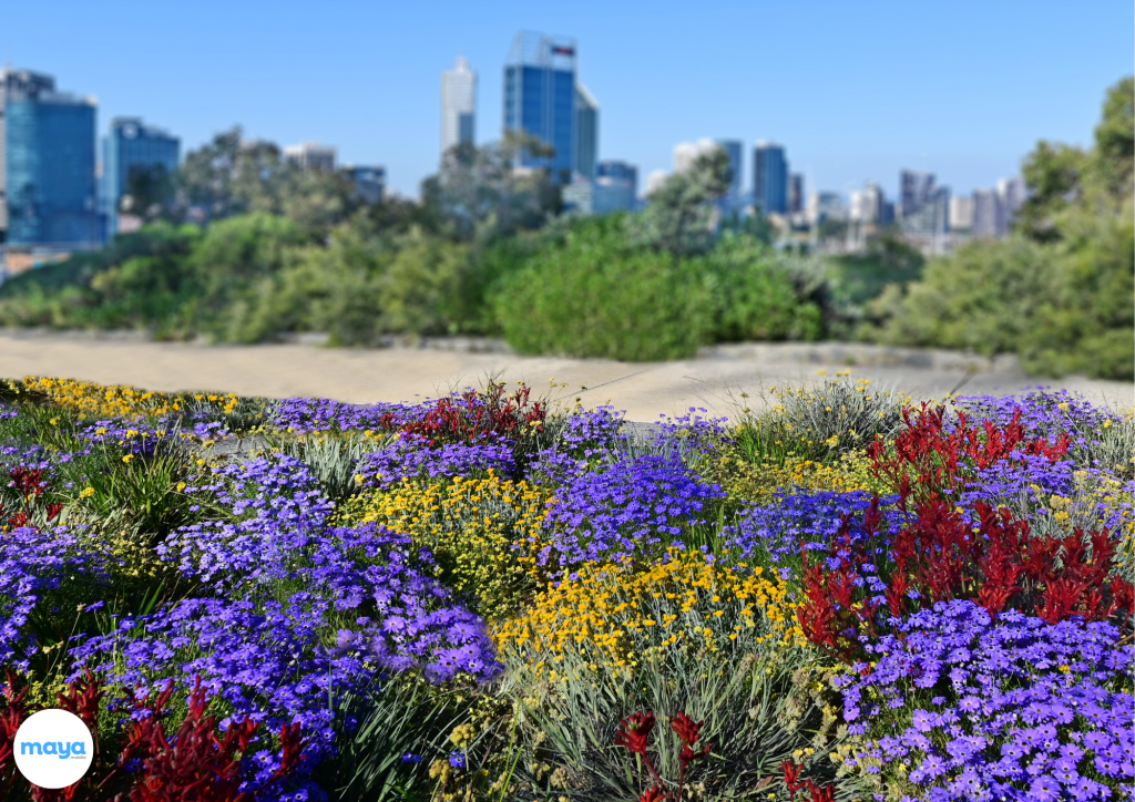 Kings Park and Botanic Garden