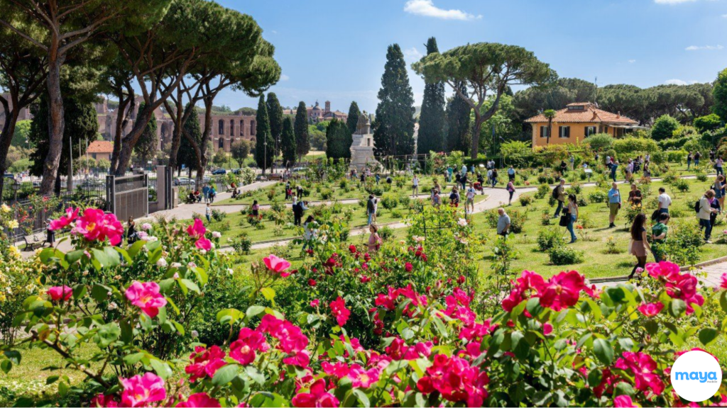The Rose Garden (Giardino delle Rose)