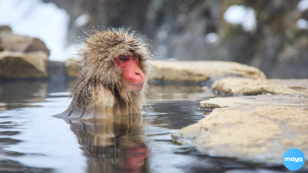 Nagano, Japan