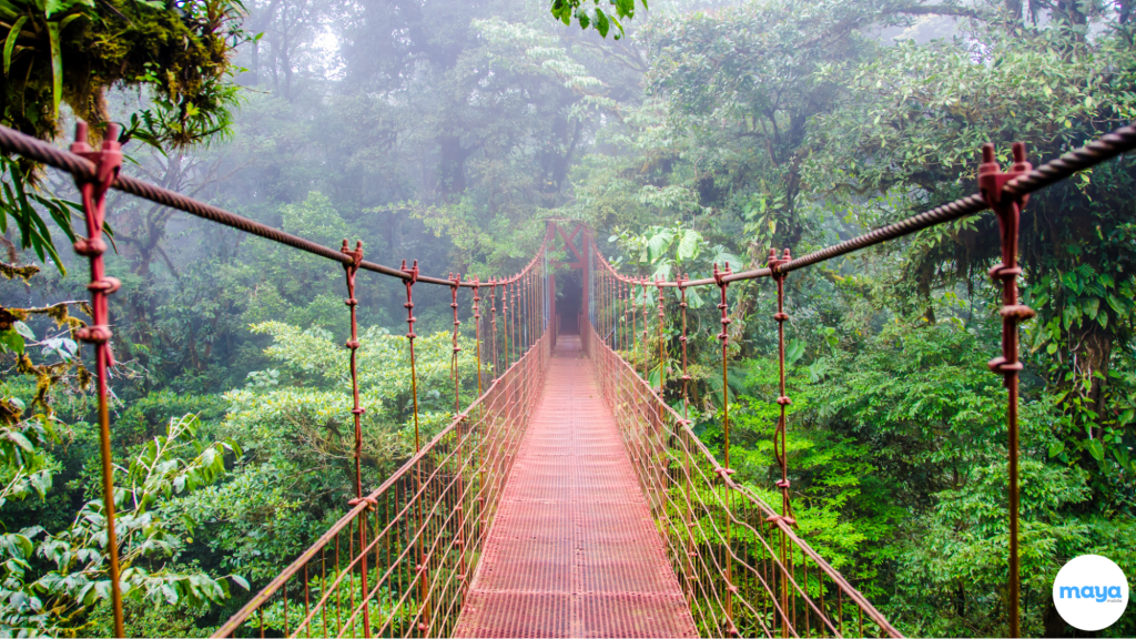 Monteverde Cloud Forest Reserve