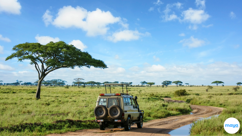 Tanzania Safaris