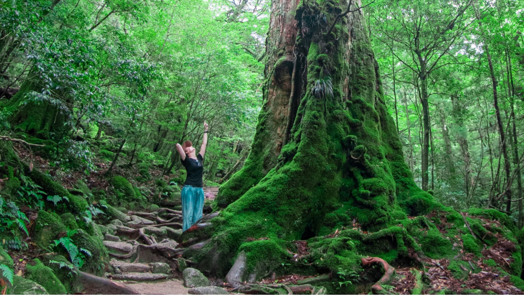 Yakushima Island, Japan