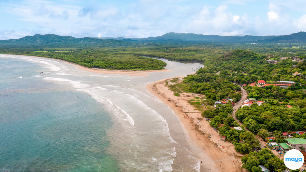 Tamarindo