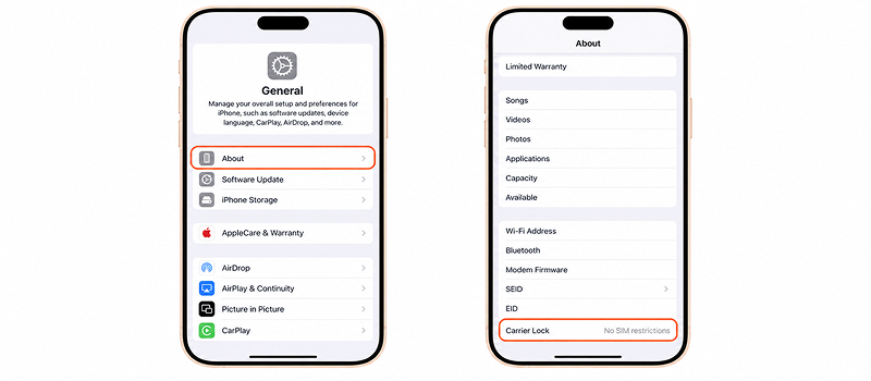 How to Check If You Have A Carrier Locked iPhone?