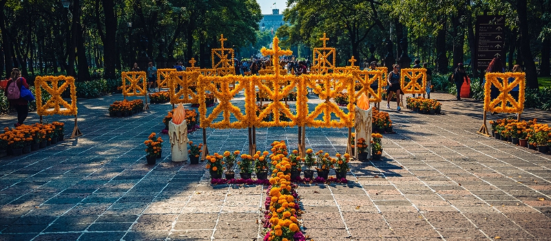 official flower of the Day of the Dead festival
