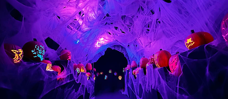 Best Places To Travel For Halloween